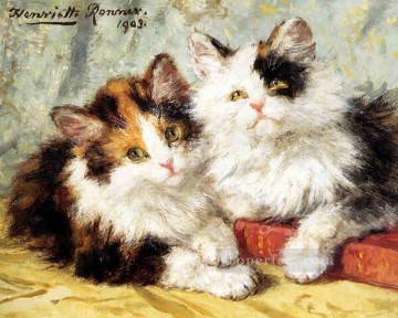 katze Ölbilder verkaufen - am050D Tier Katze